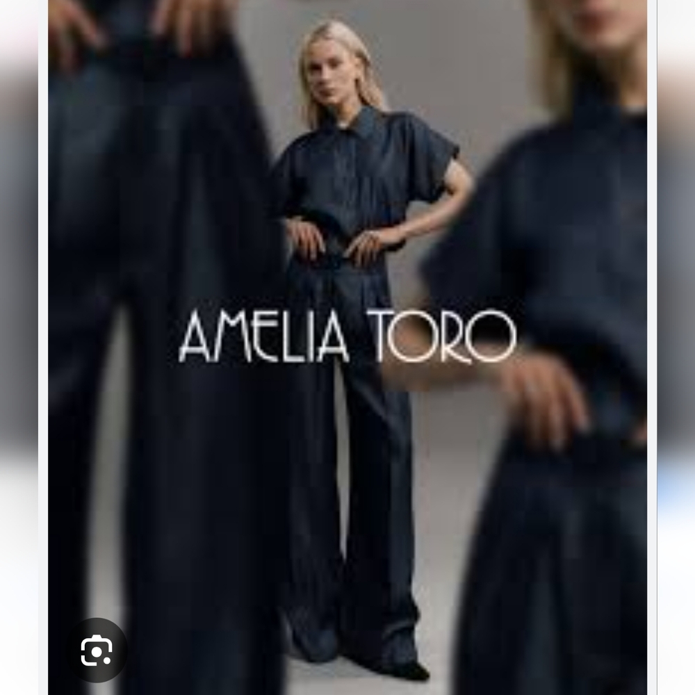 Amelia Toro Wool Pants - Picture 3 of 9